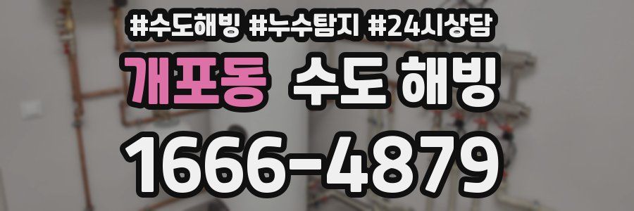 개포동 수도 해빙