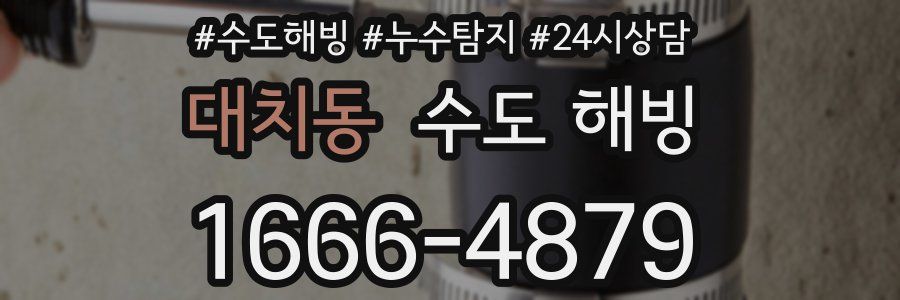 대치동 수도 해빙