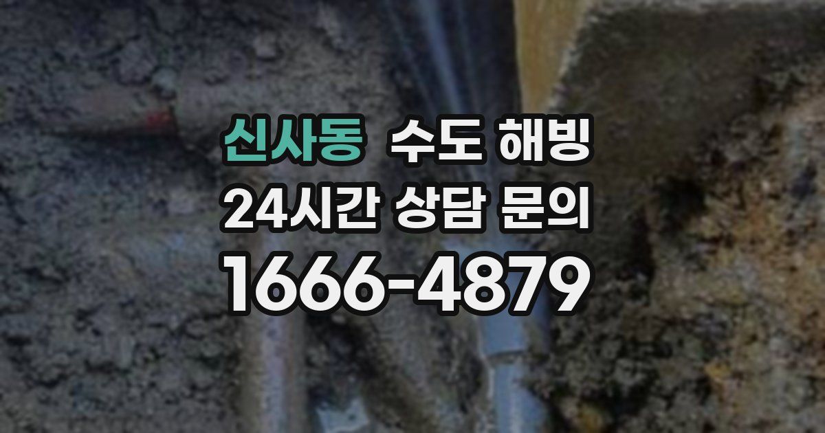신사동 수도 해빙
