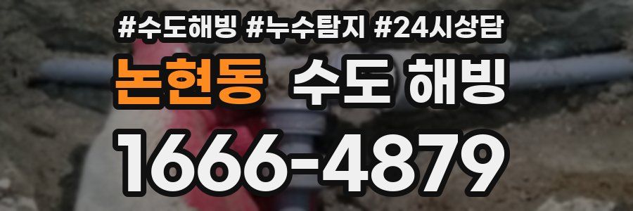 논현동 수도 해빙