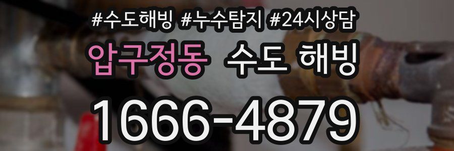 압구정동 수도 해빙
