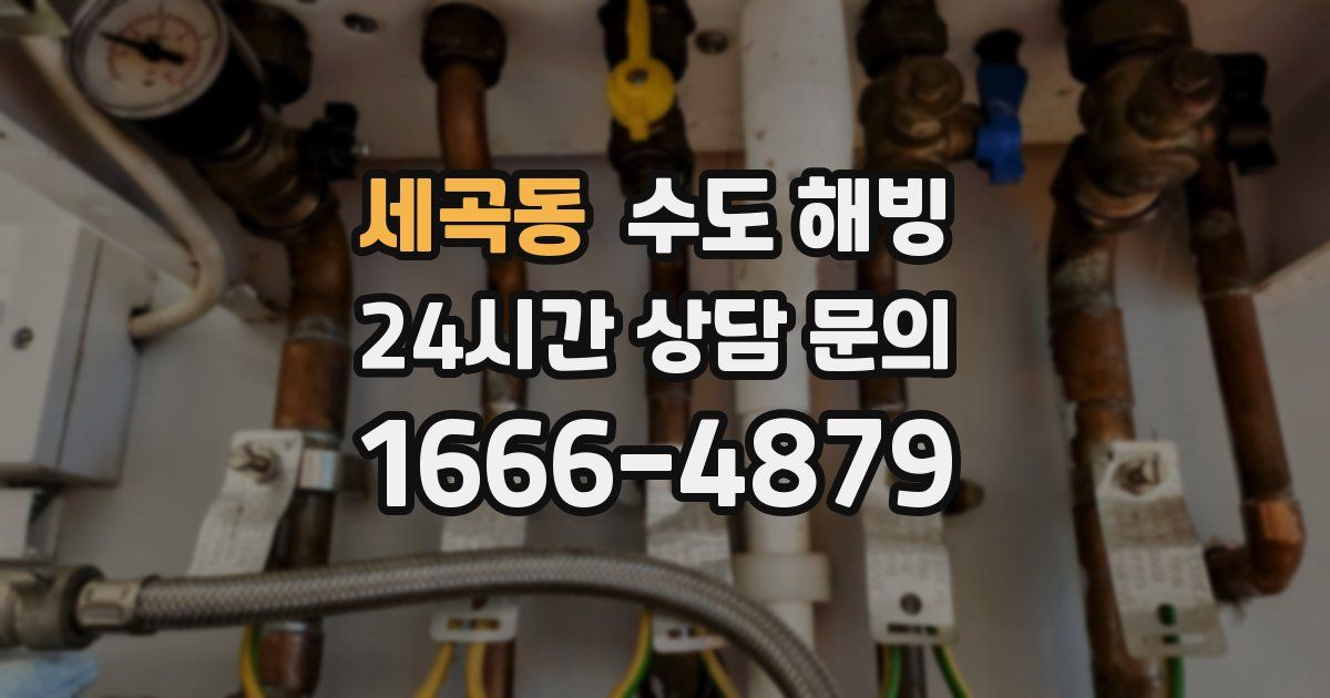 세곡동 수도 해빙