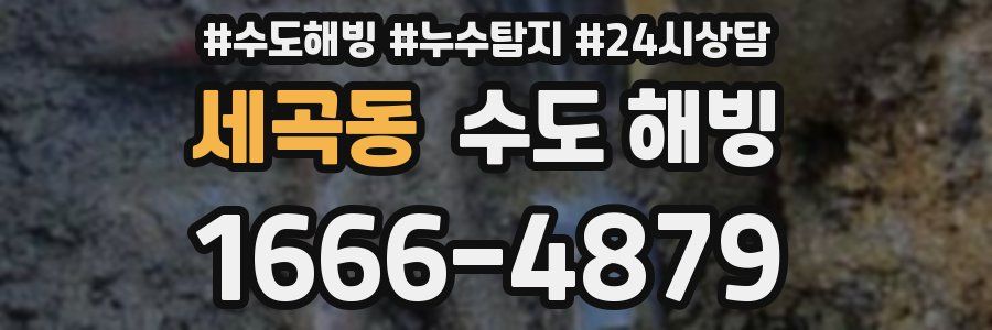 세곡동 수도 해빙
