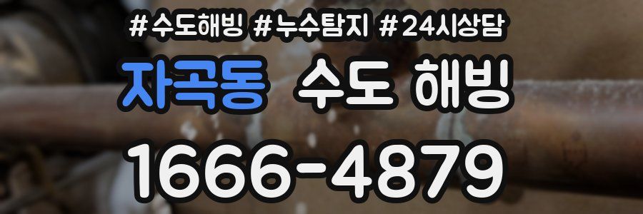 자곡동 수도 해빙