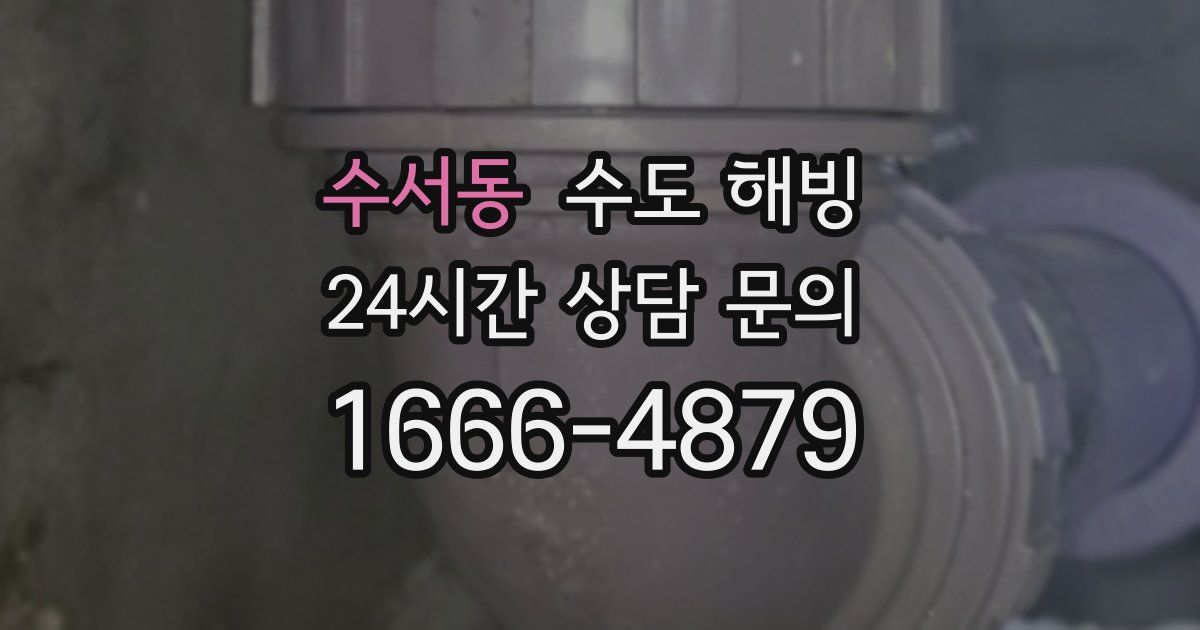 수서동 수도 해빙