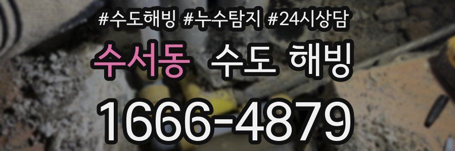 수서동 수도 해빙