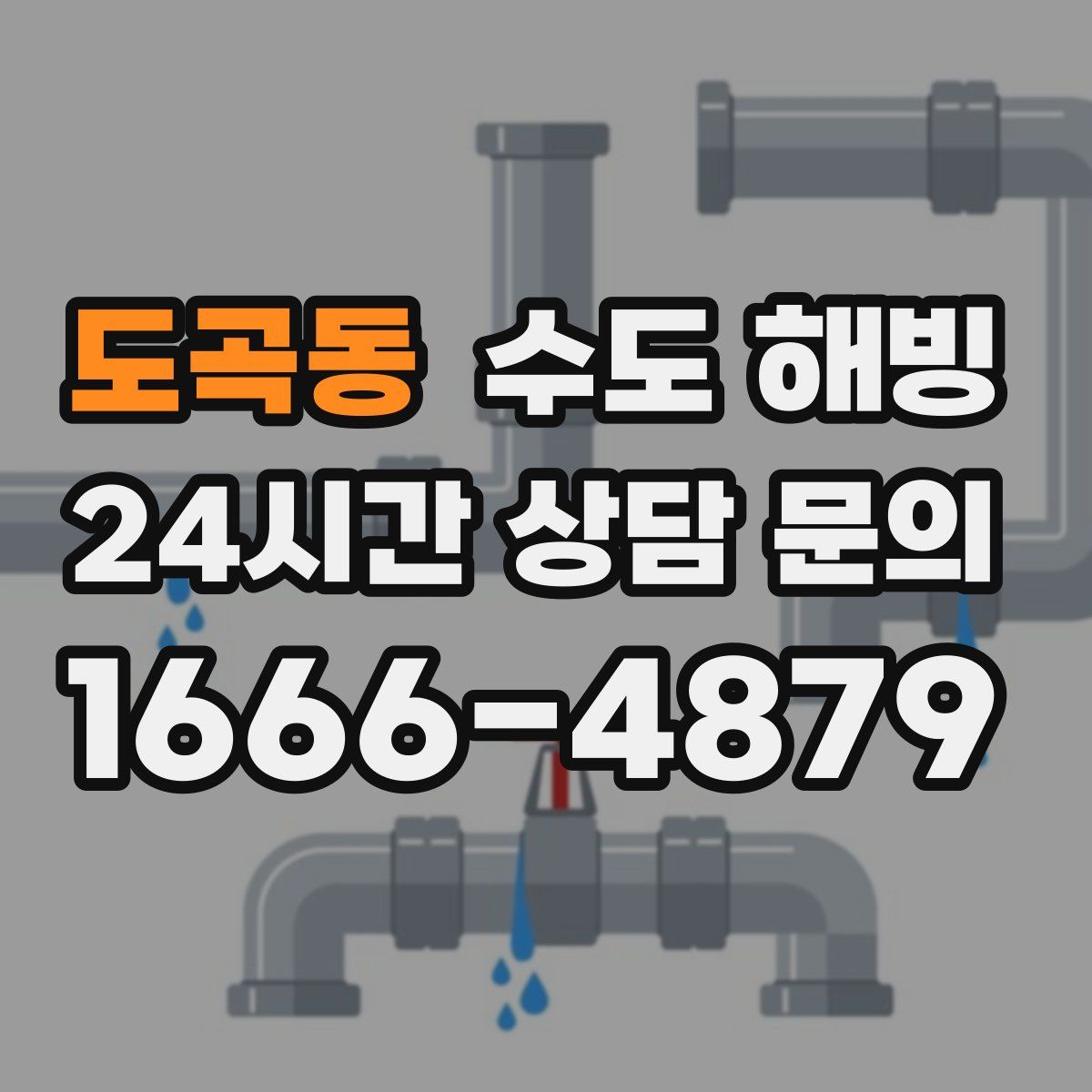 도곡동 수도 해빙