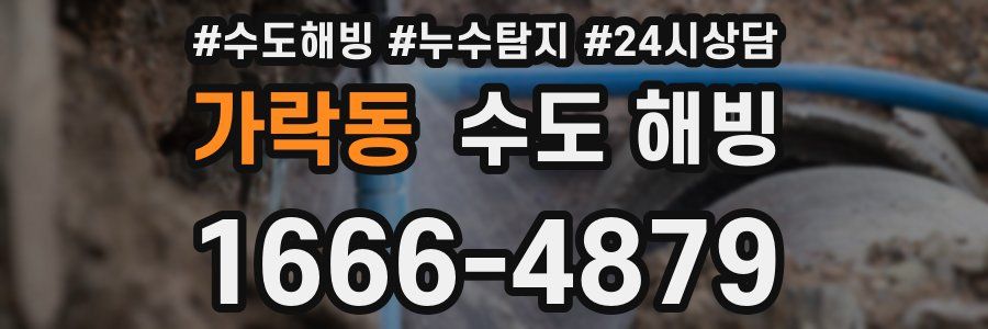 가락동 수도 해빙