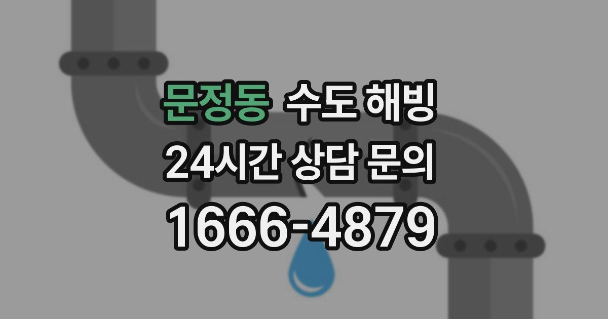 문정동 수도 해빙