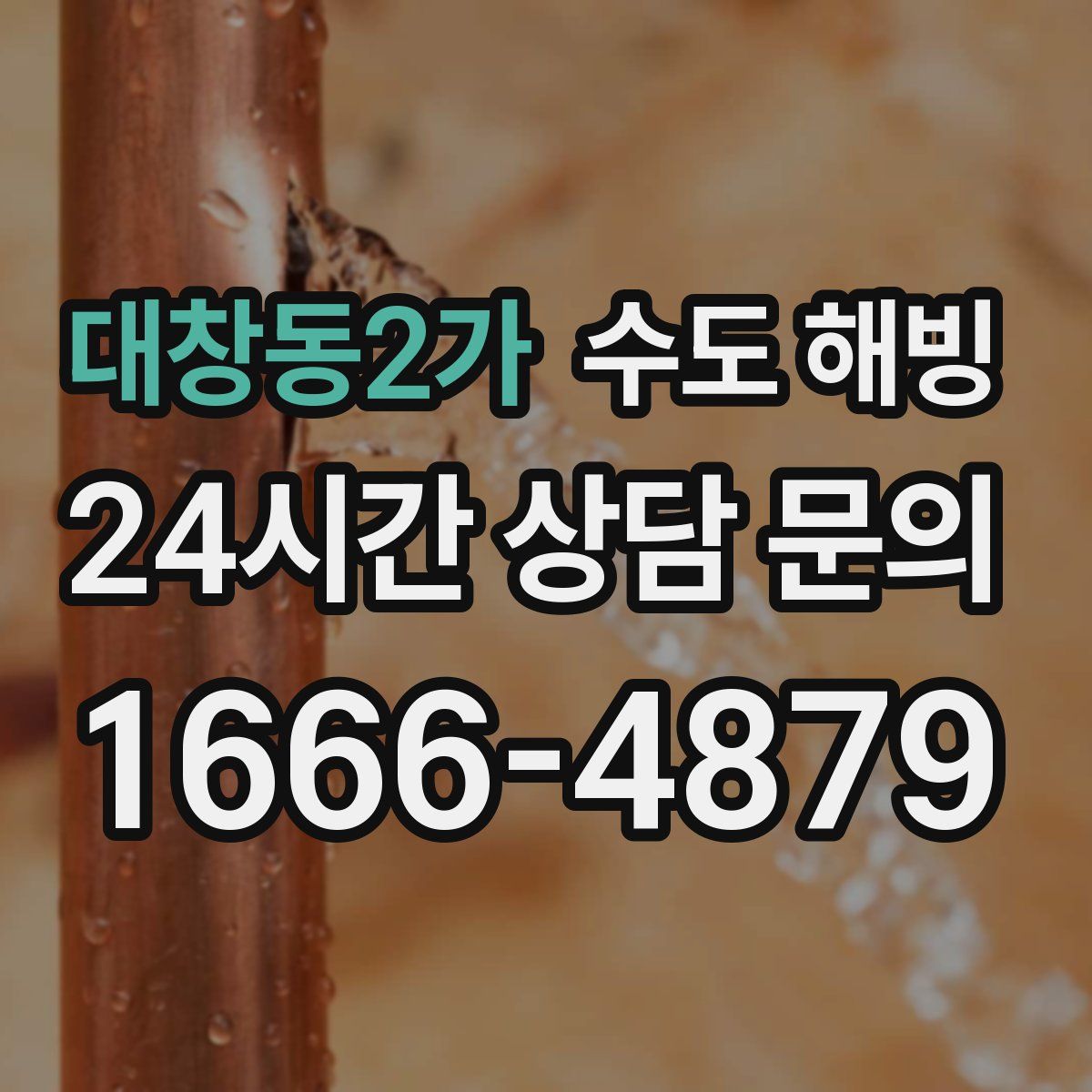 대창동2가 수도 해빙