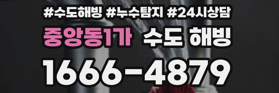 중앙동1가 수도 해빙