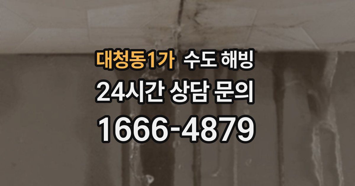 대청동1가 수도 해빙