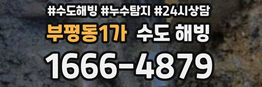 부평동1가 수도 해빙