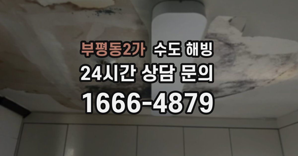 부평동2가 수도 해빙