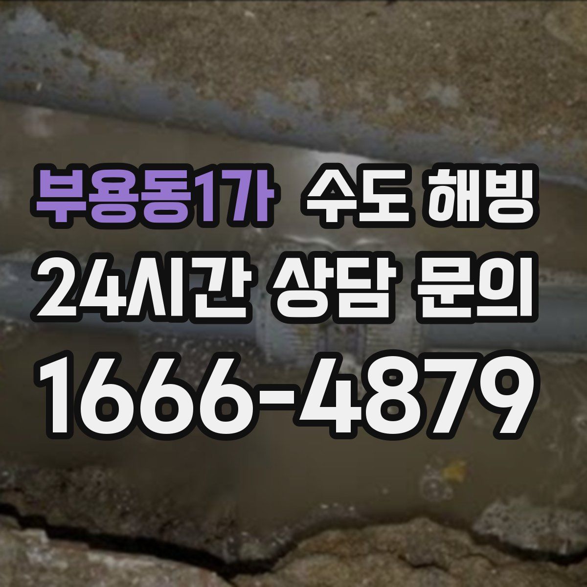 부용동1가 수도 해빙