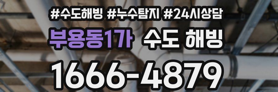 부용동1가 수도 해빙