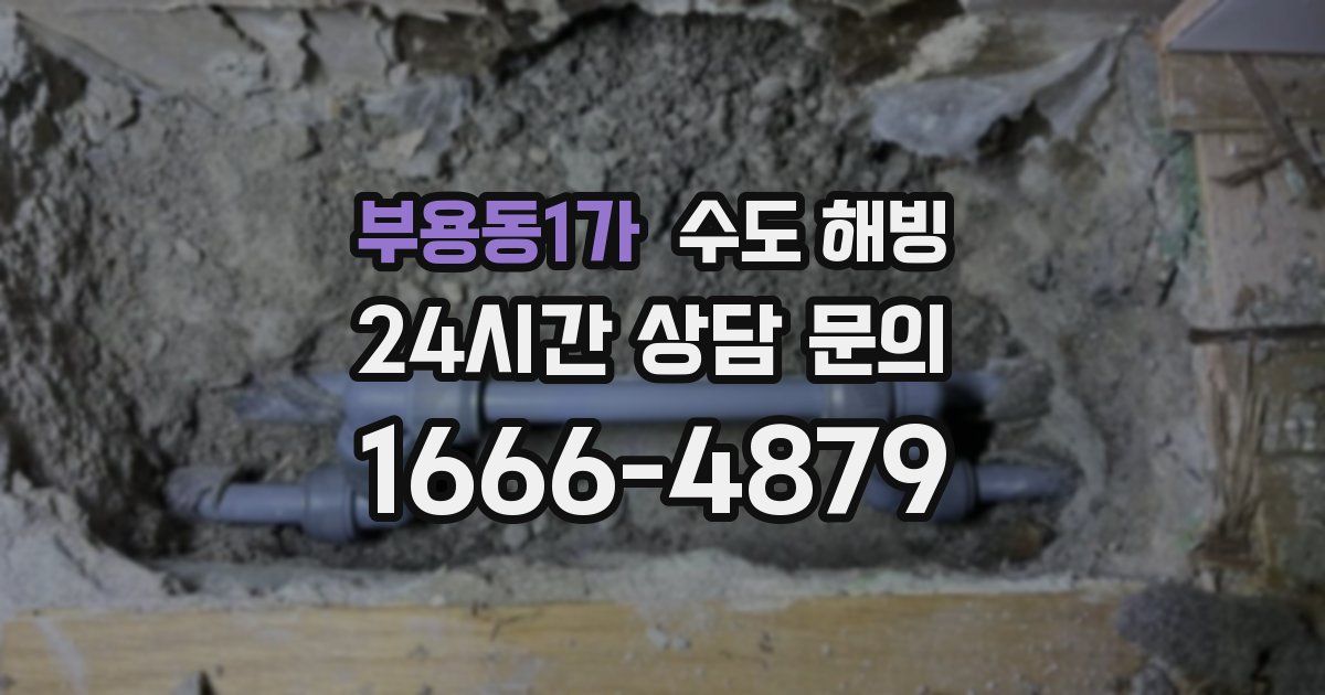 부용동1가 수도 해빙