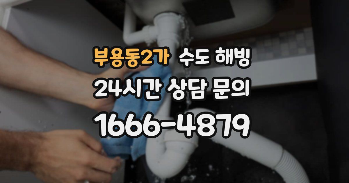 부용동2가 수도 해빙