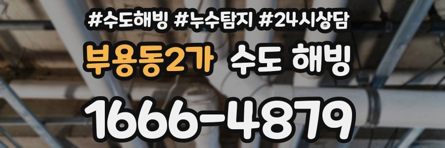 부용동2가 수도 해빙