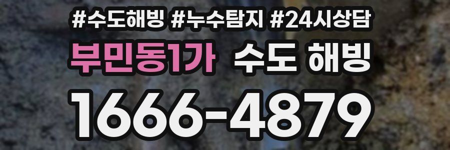 부민동1가 수도 해빙