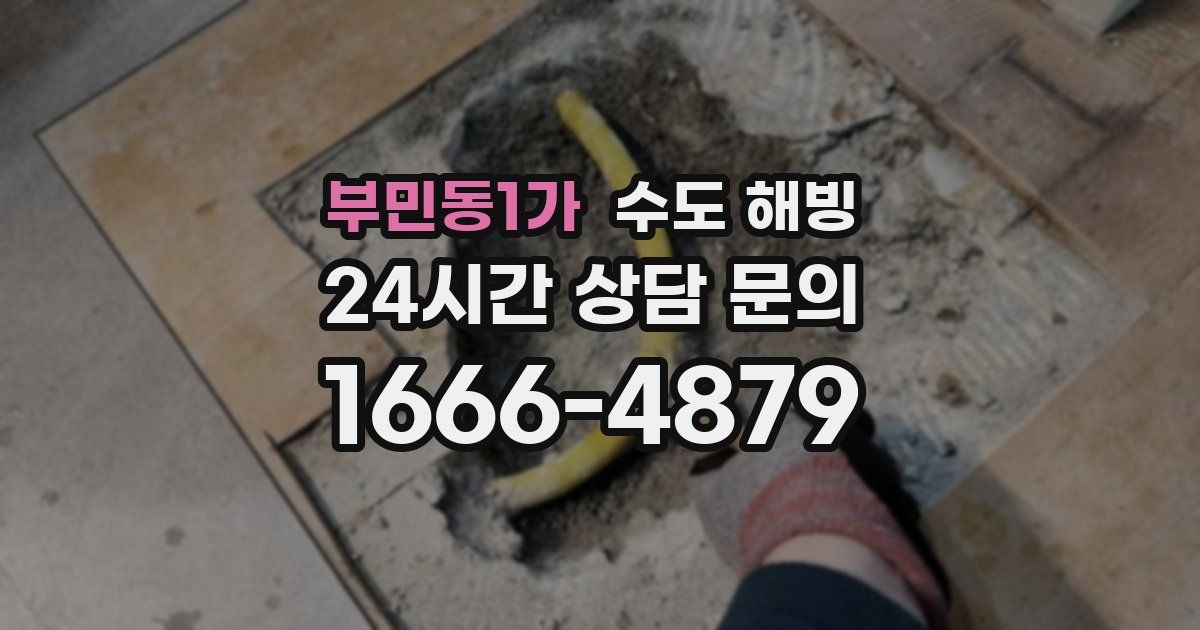 부민동1가 수도 해빙