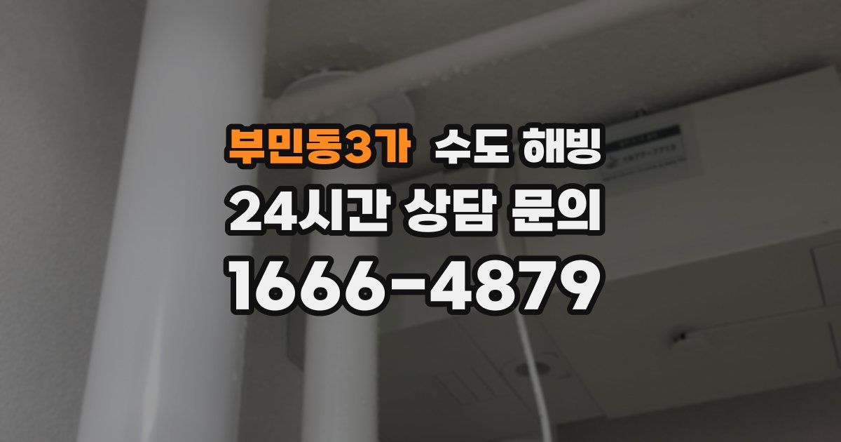 부민동3가 수도 해빙