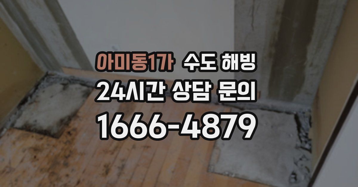 아미동1가 수도 해빙