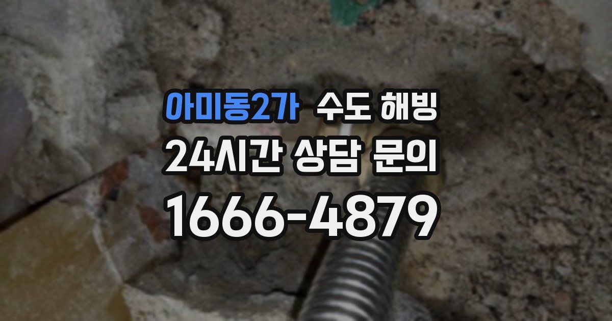 아미동2가 수도 해빙
