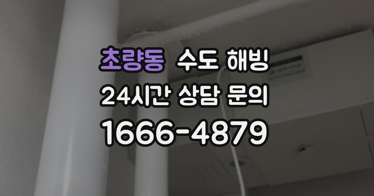 초량동 수도 해빙