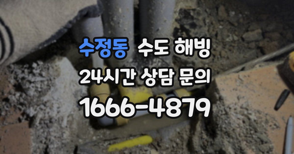 수정동 수도 해빙