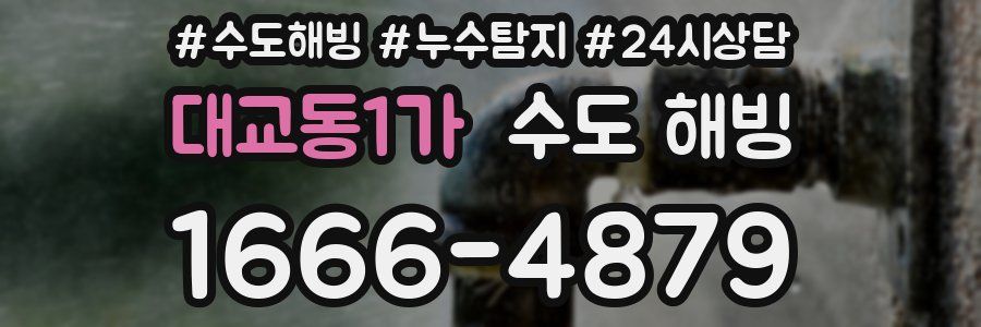 대교동1가 수도 해빙