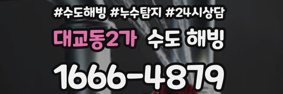 대교동2가 수도 해빙