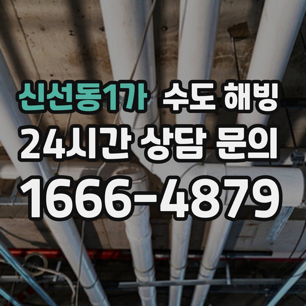 신선동1가 수도 해빙