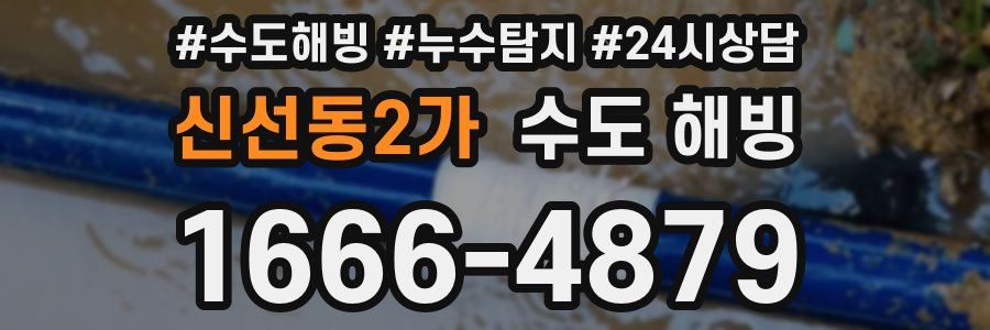 신선동2가 수도 해빙