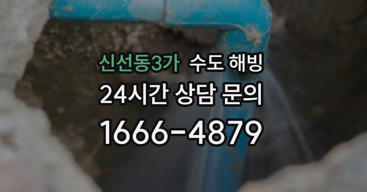 신선동3가 수도 해빙