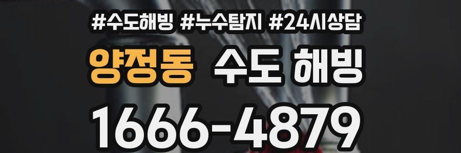 양정동 수도 해빙