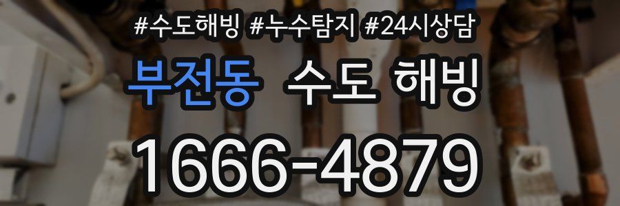 부전동 수도 해빙