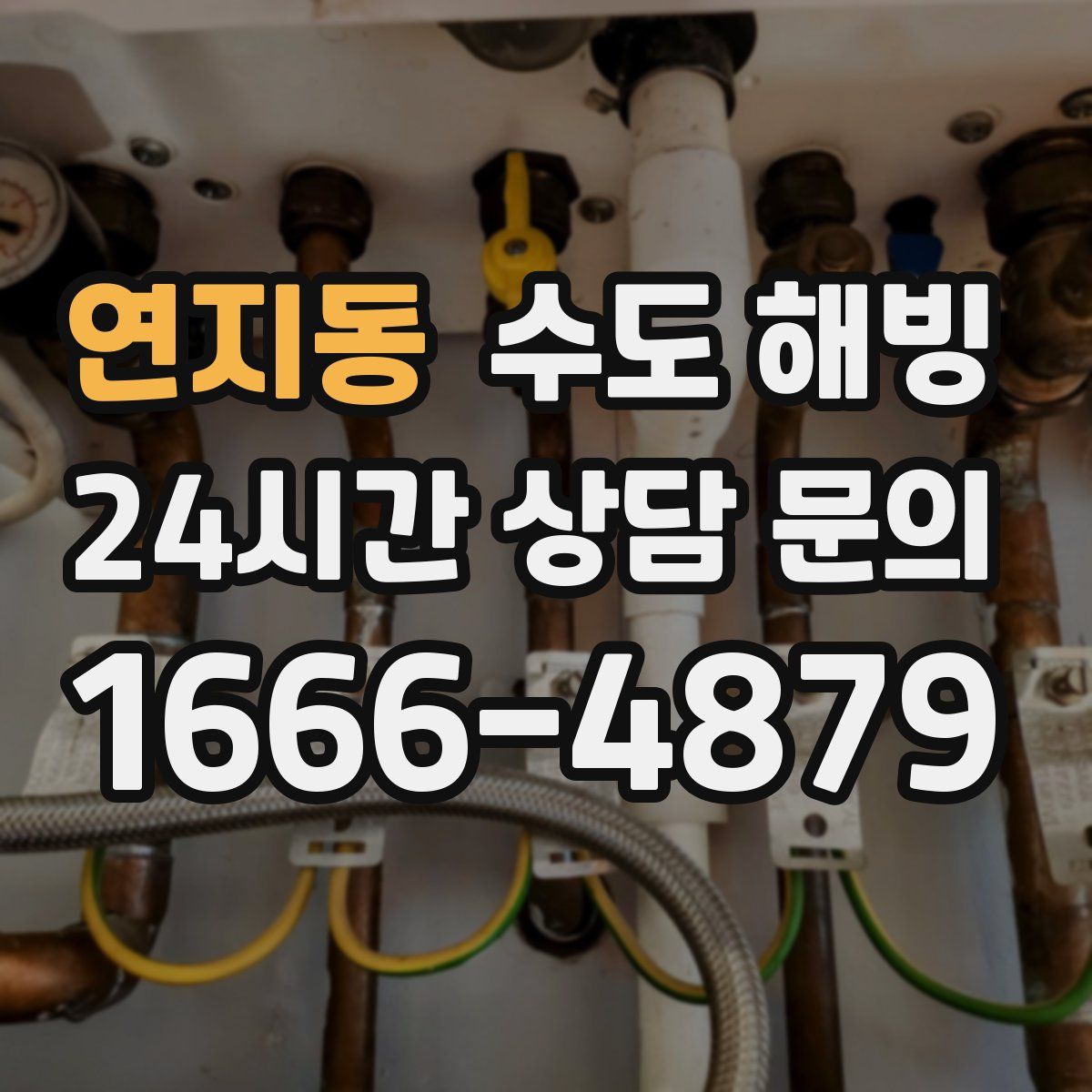 연지동 수도 해빙