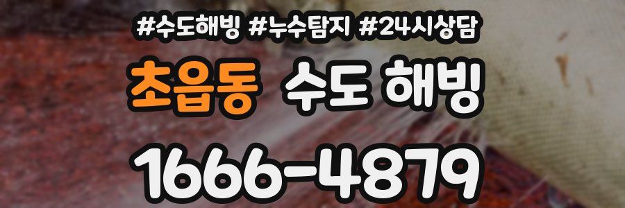 초읍동 수도 해빙