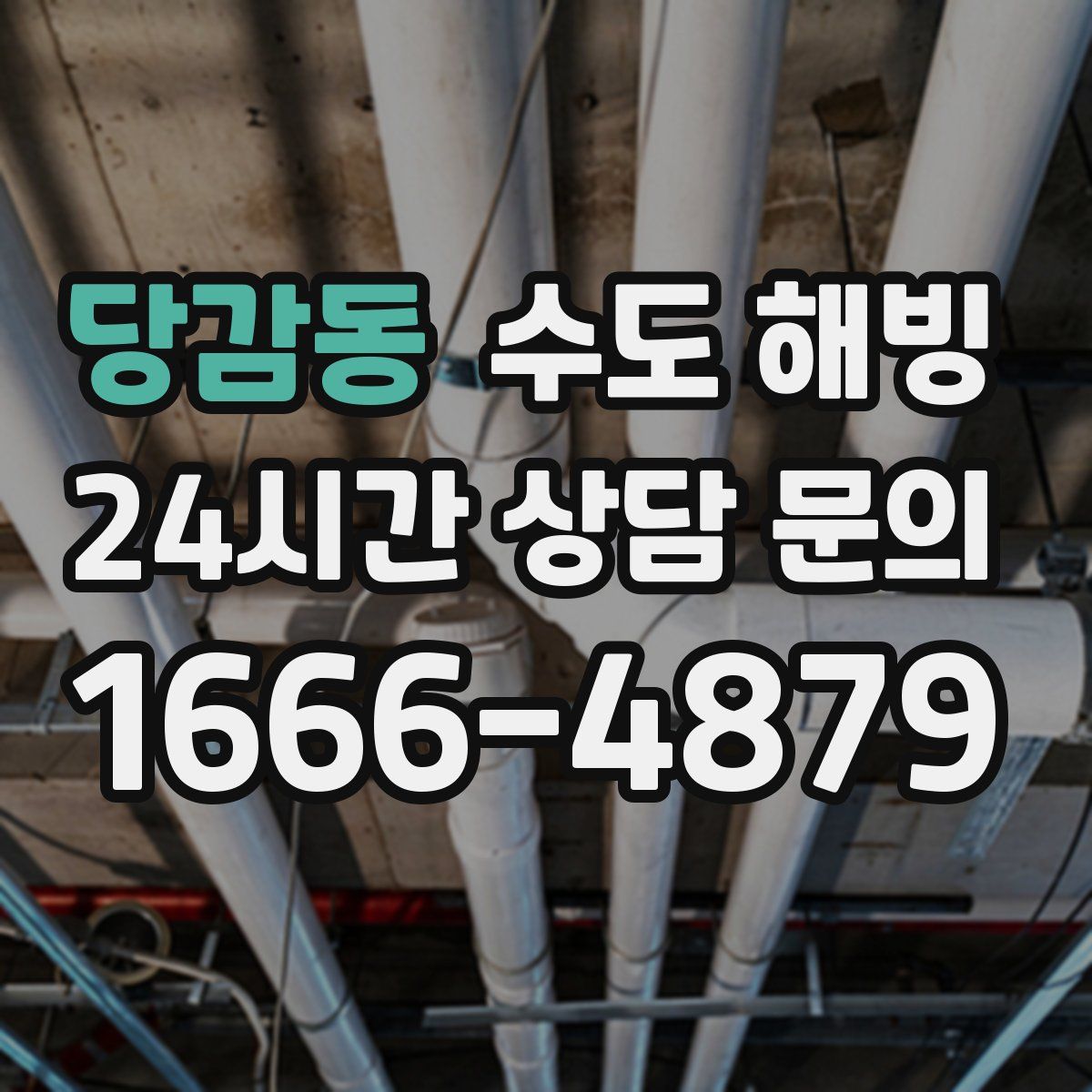 당감동 수도 해빙