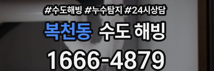 복천동 수도 해빙