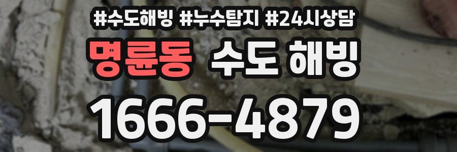 명륜동 수도 해빙