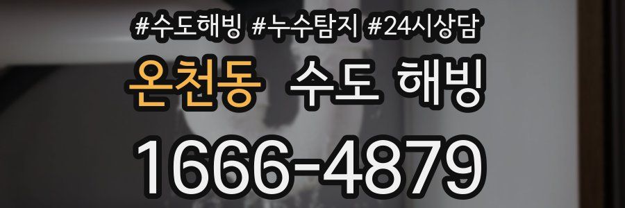 온천동 수도 해빙