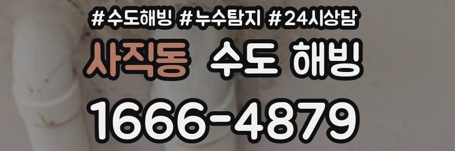 사직동 수도 해빙