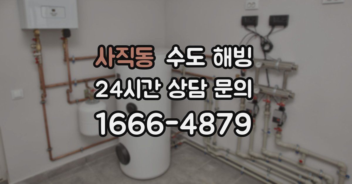 사직동 수도 해빙