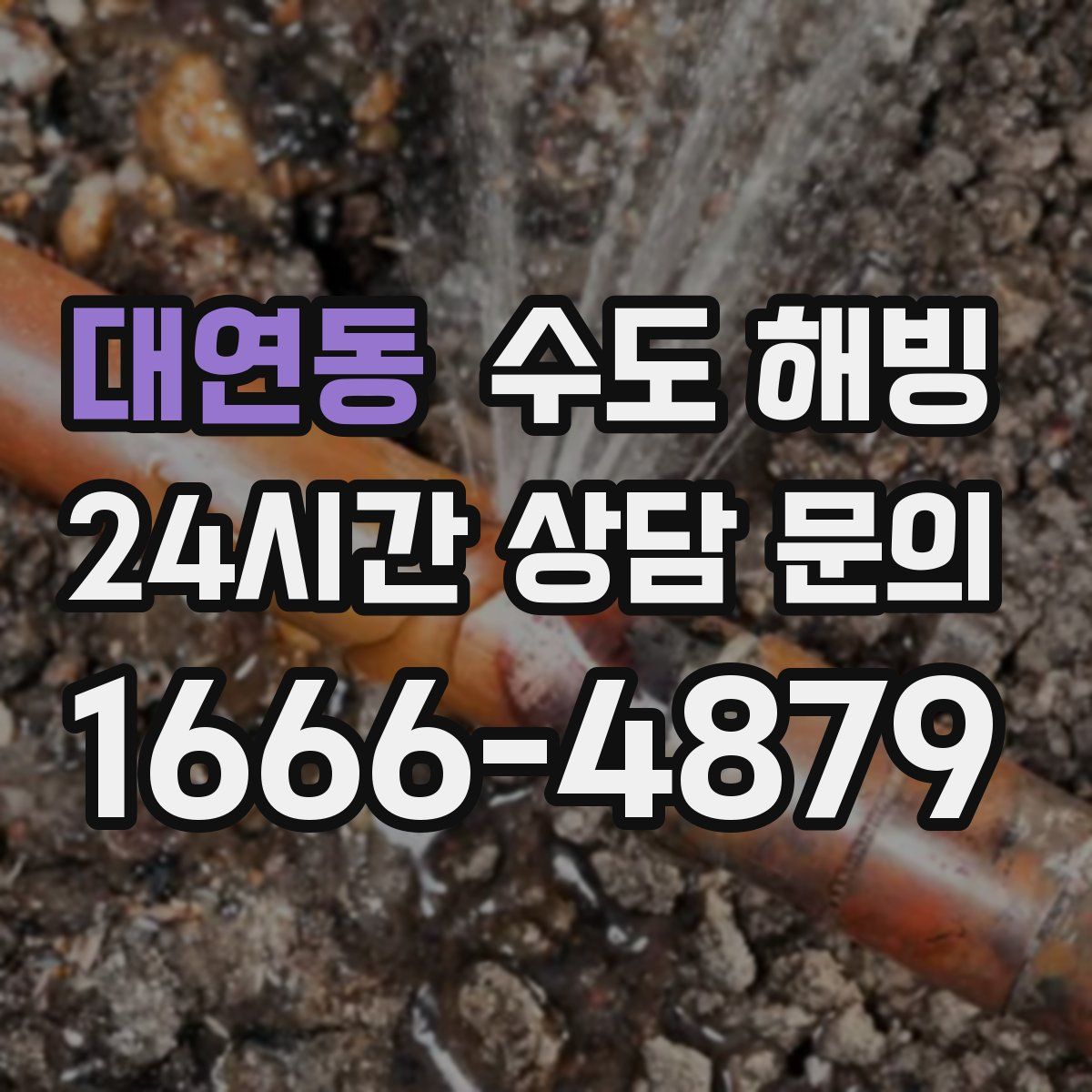 대연동 수도 해빙