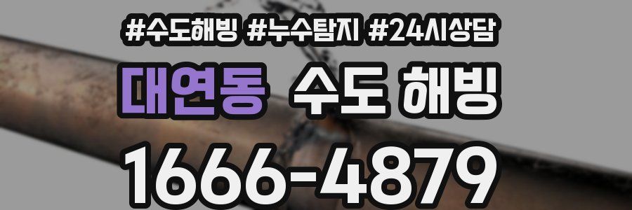 대연동 수도 해빙
