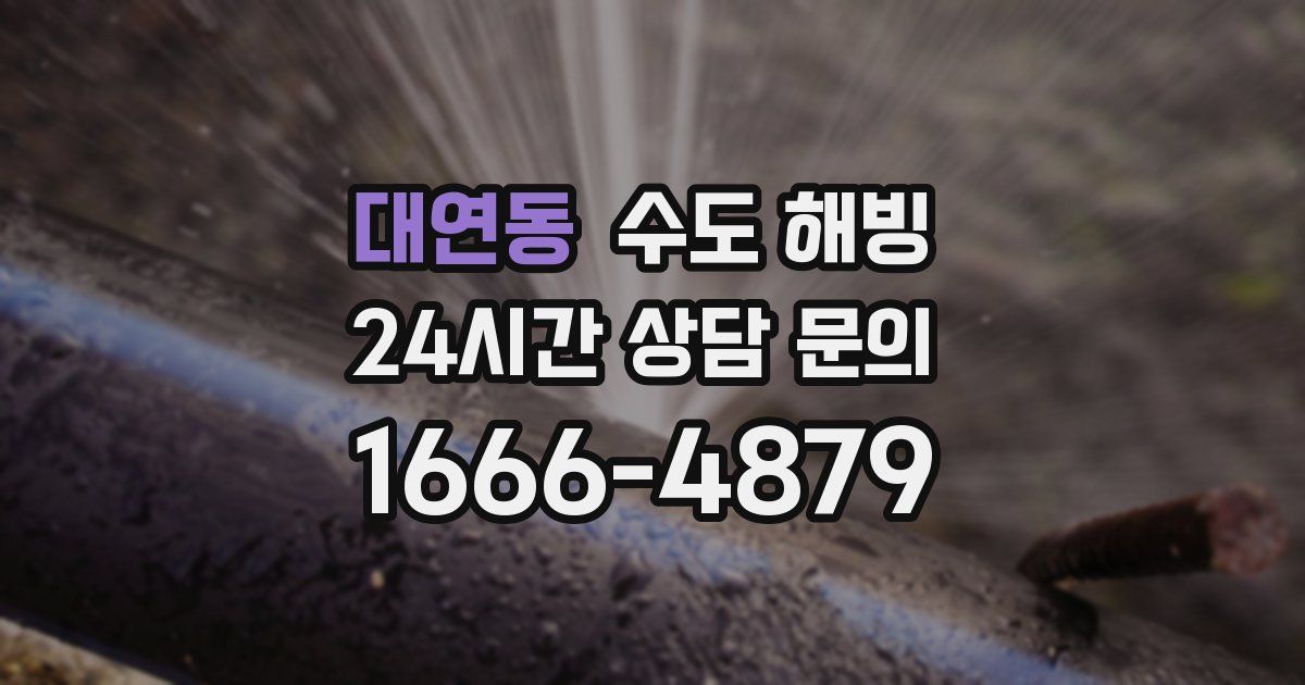 대연동 수도 해빙