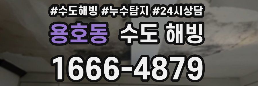 용호동 수도 해빙