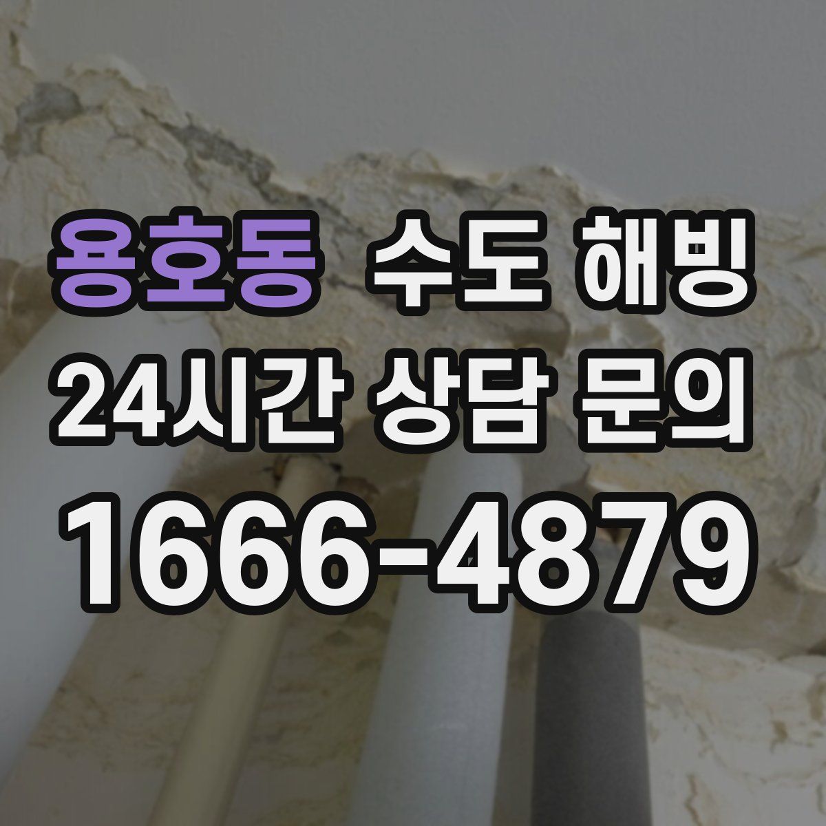 용호동 수도 해빙